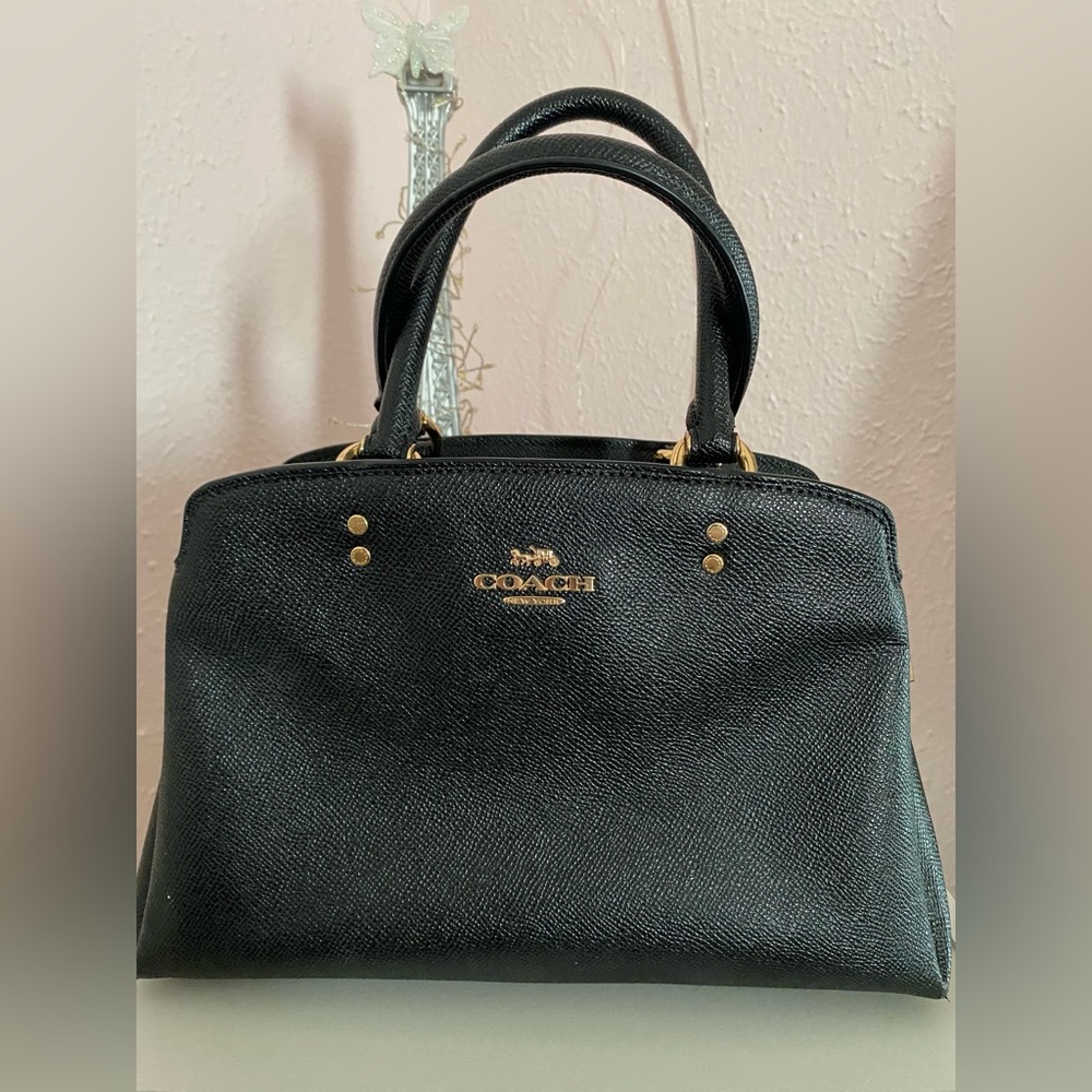 Coach Mini lillie carryall